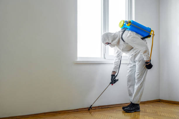 Best Pest Control Near Me  in Eagar, AZ