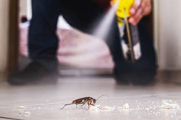 Best Best Pest Control Companies  in Eagar, AZ